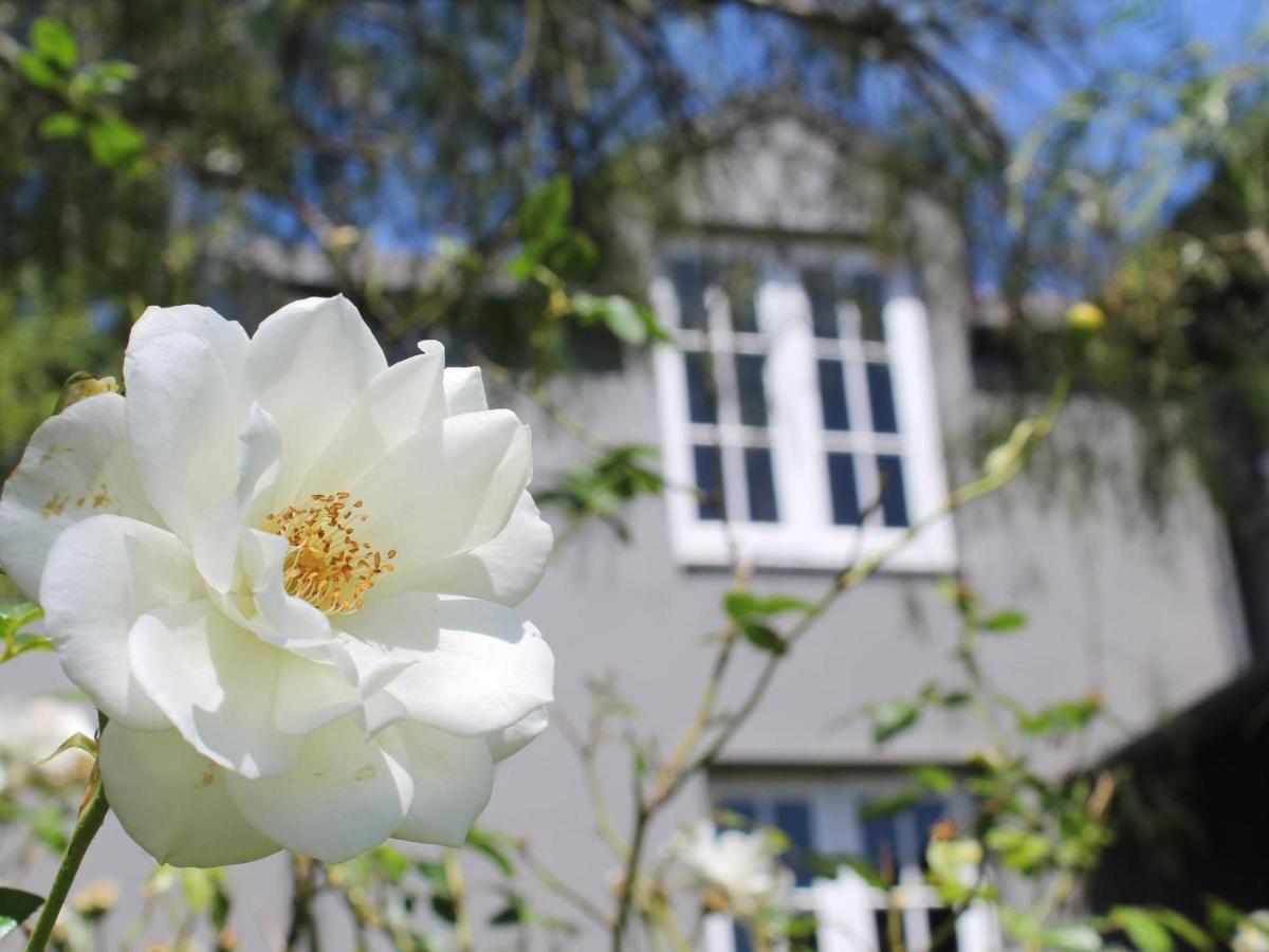 Arumvale Country Retreat Swellendam Extérieur photo