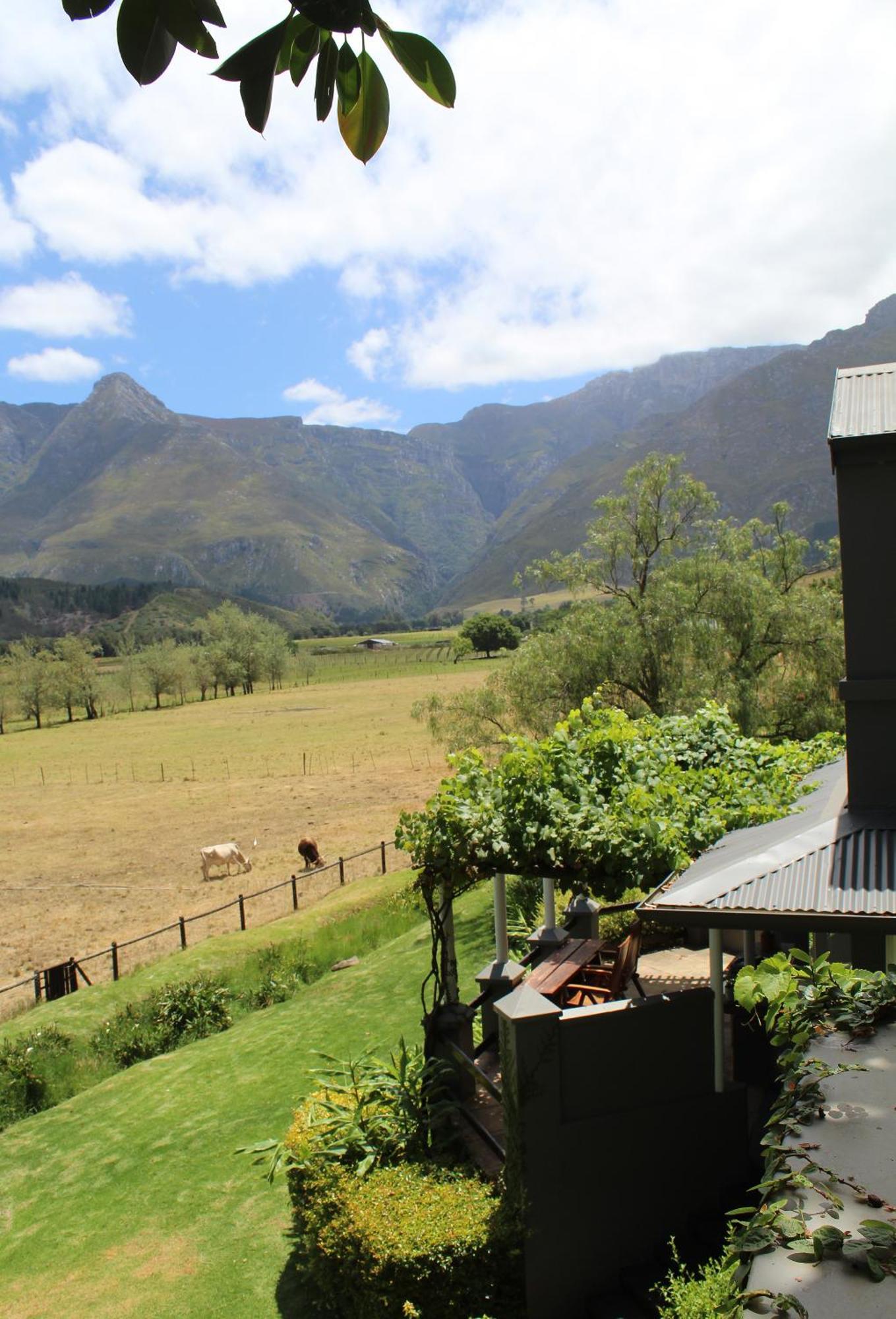 Arumvale Country Retreat Swellendam Extérieur photo
