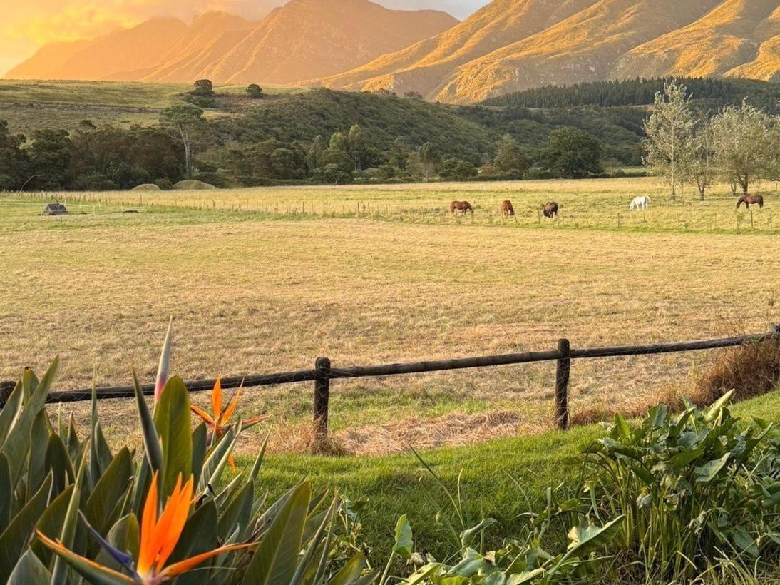 Arumvale Country Retreat Swellendam Extérieur photo